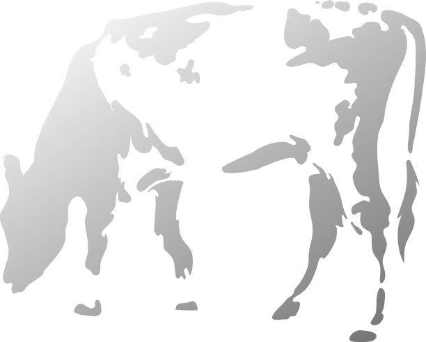 轮廓发现牛图片下载