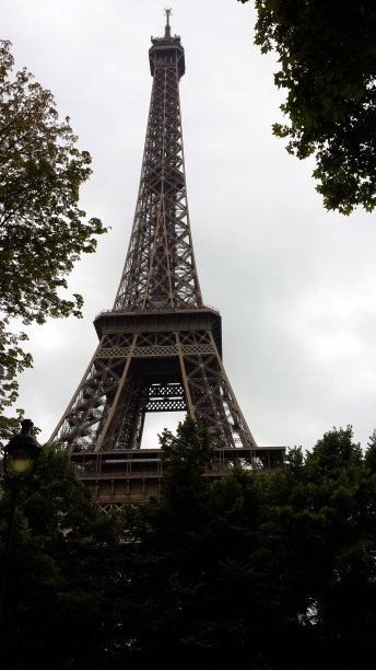 埃菲尔铁塔坐落在树木之间图片下载