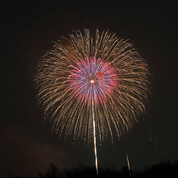 飞涨的烟花图片下载