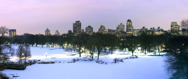 冬天的中央公园图片下载