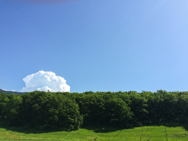 夏天的风景图片下载
