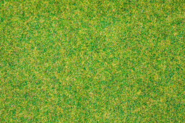 人造草皮图片下载