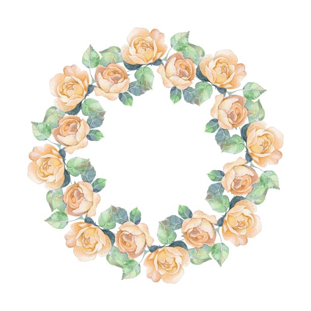 美丽的花。水彩插图6素材图片