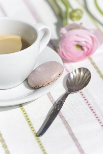 粉色的波斯毛茛和一杯咖啡图片下载