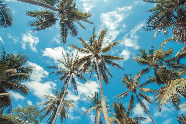 百慕大图片素材ID：124640914