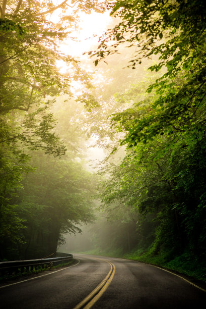 雾在441图片下载