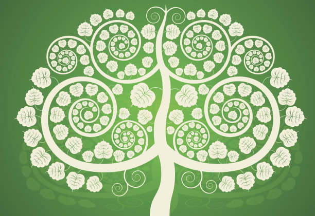 银色的菩提树图片下载