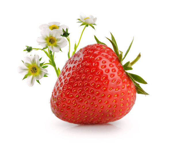 草莓孤立于白色图片下载