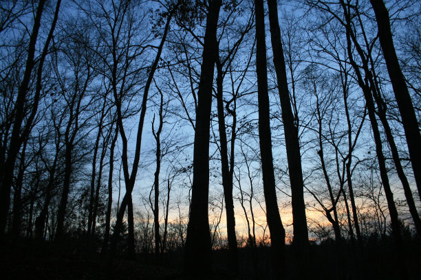 黄昏的色彩图片下载