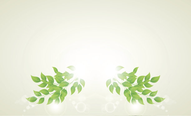 树枝上有新鲜的绿叶图片下载