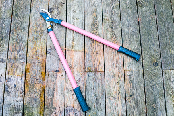 木制背景上的花园剪刀图片下载