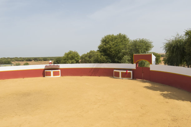 西班牙塞维利亚乡间的斗牛场图片下载