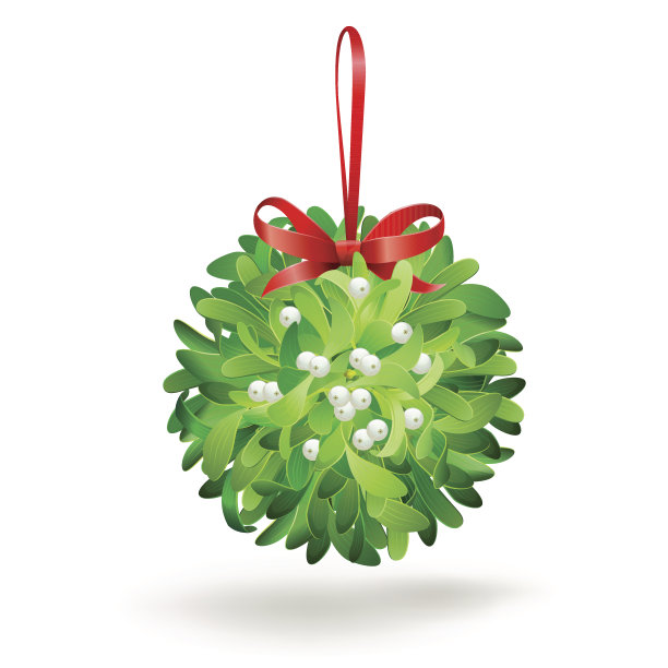 带着红色蝴蝶结的圣诞槲寄生。图片下载