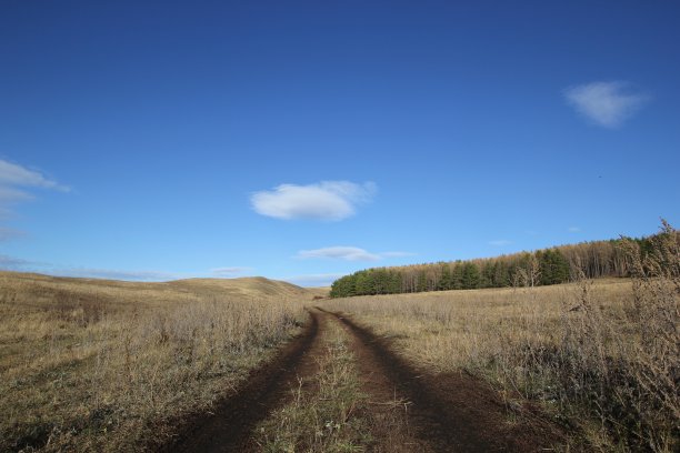乡间小路图片下载