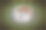 有2月27日的旧木历。图片下载