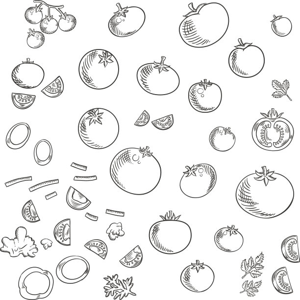 农场西红柿蔬菜素描图标图片下载