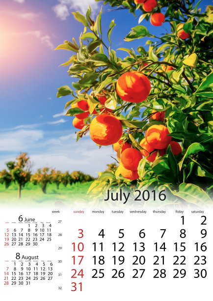 日历2016年7月-橙枝树。图片下载