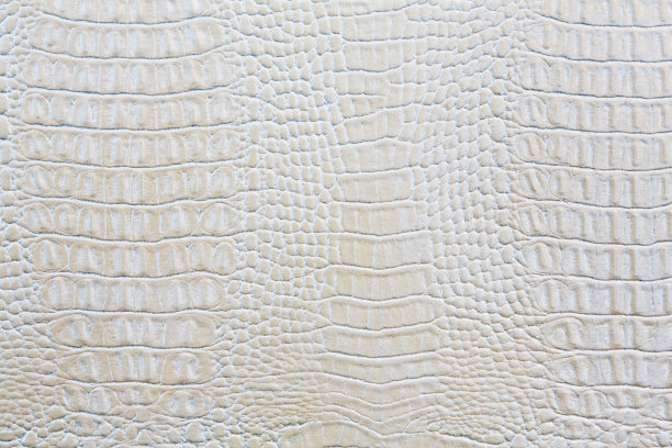 鳄鱼皮白色皮革背景图片下载