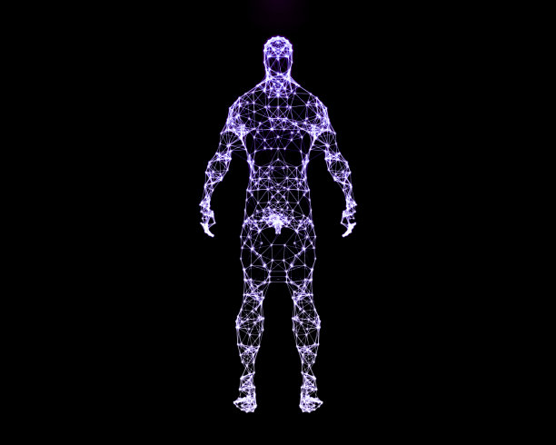 人体的数字插图图片下载