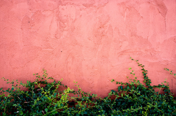 粉红色的混凝土墙。图片下载
