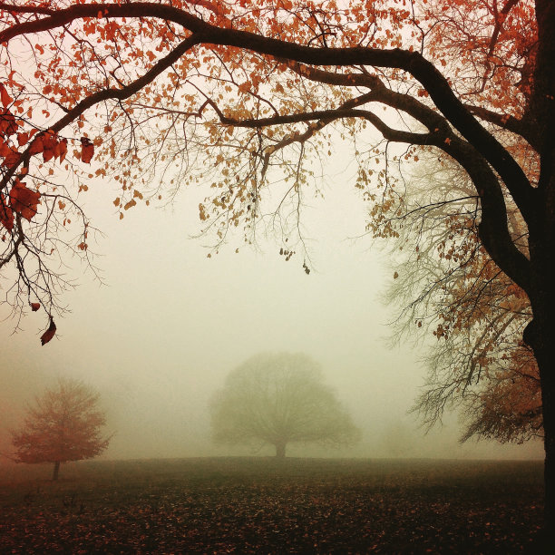 秋天的雾图片下载