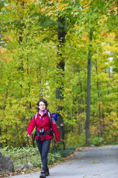 北欧漫步在秋天的山上图片下载