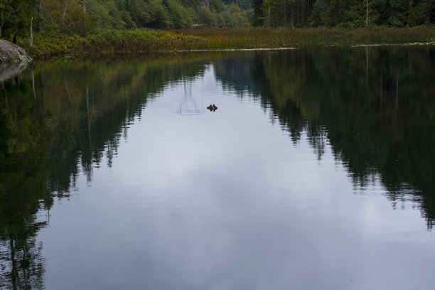 Brohm湖图片下载