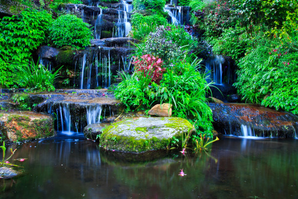 和平花园图片下载