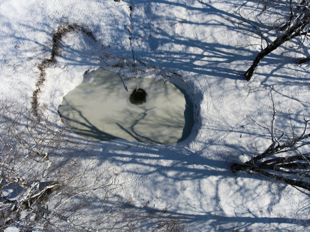 冬天树林里的泉水照片。图片下载