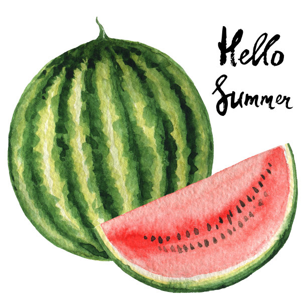 水彩海报水果西瓜和手写你好夏天。图片下载