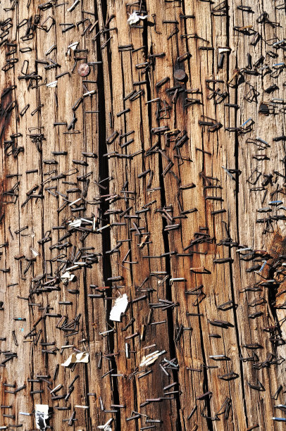 钉在木柱子上图片下载