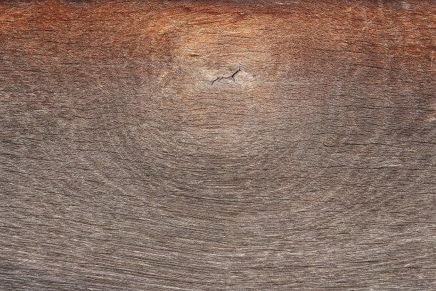 木节瘤的木制环图片下载