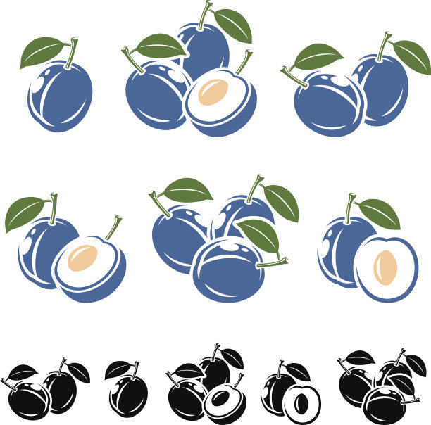 李子。向量图片下载