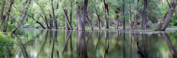 牛轭湖了。湿地景观。图片下载