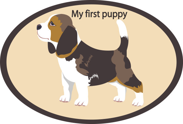 我的第一只小狗…小猎犬号图片下载