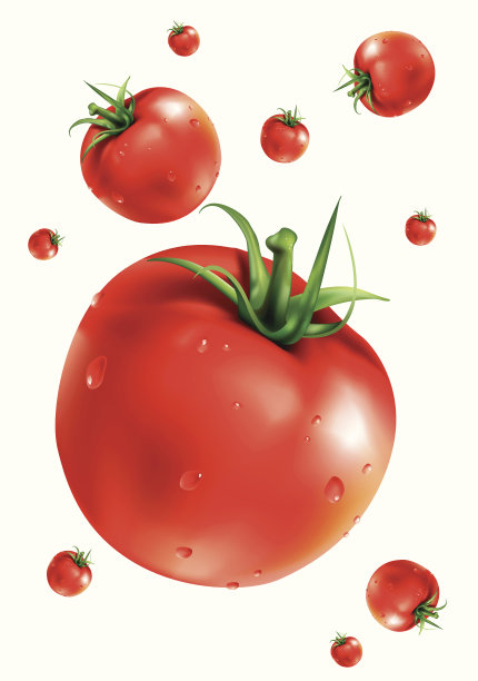 番茄图片下载