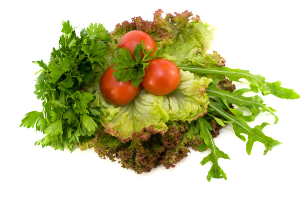 沙拉用的新鲜蔬菜和野菜图片下载