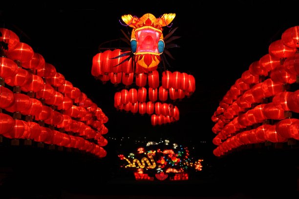 中国元宵节上的龙图片下载