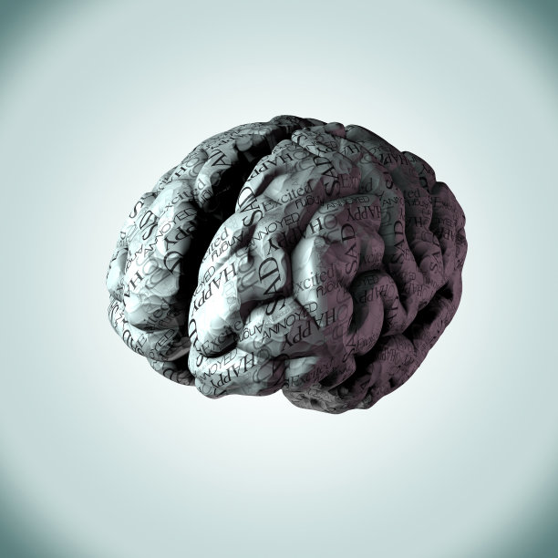 人类的大脑包裹着一个人的日常情感图片下载