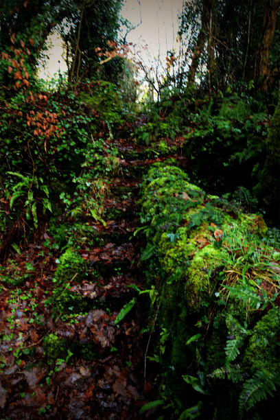 隐藏的楼梯图片下载