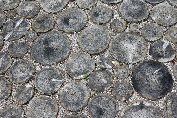 木材纹理图片下载