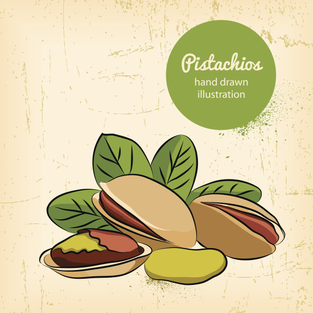 开心果插图图片下载