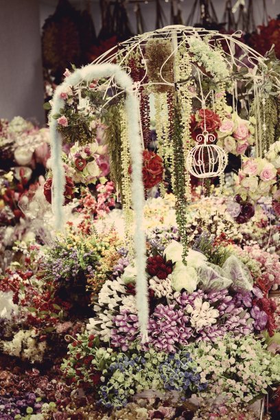 各种各样的花图片下载