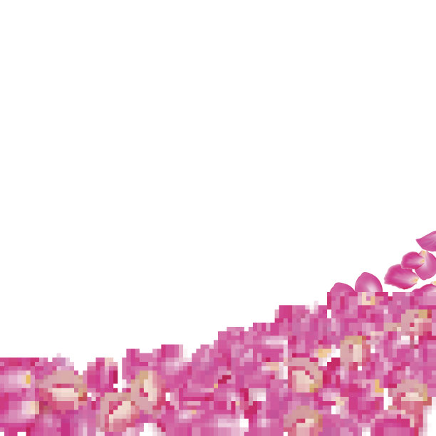 《飘》玫瑰花瓣。现实向量粉红色花瓣透明的背景图片下载