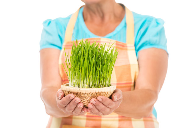 创意概念退休老年妇女图片下载