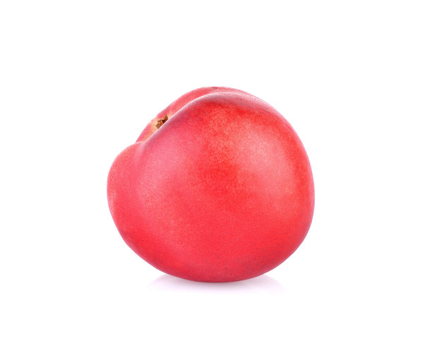 白底上有桃、油桃图片下载