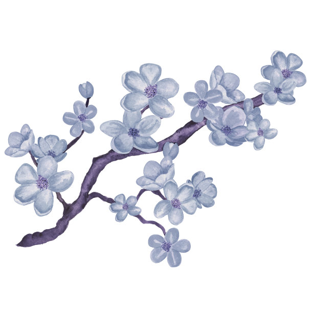水彩枝头盛开的樱花，蓝色的樱桃树与花素材图片