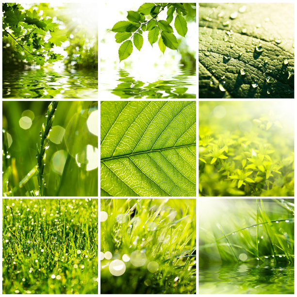 拼贴画图片下载