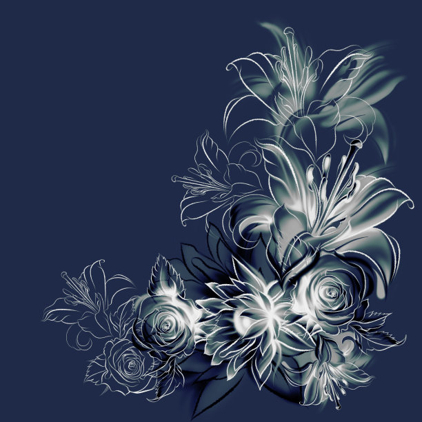 花。玫瑰、百合和甘菊图片下载