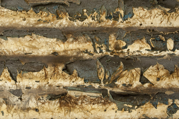 彩色照片，抽象纹理图片下载